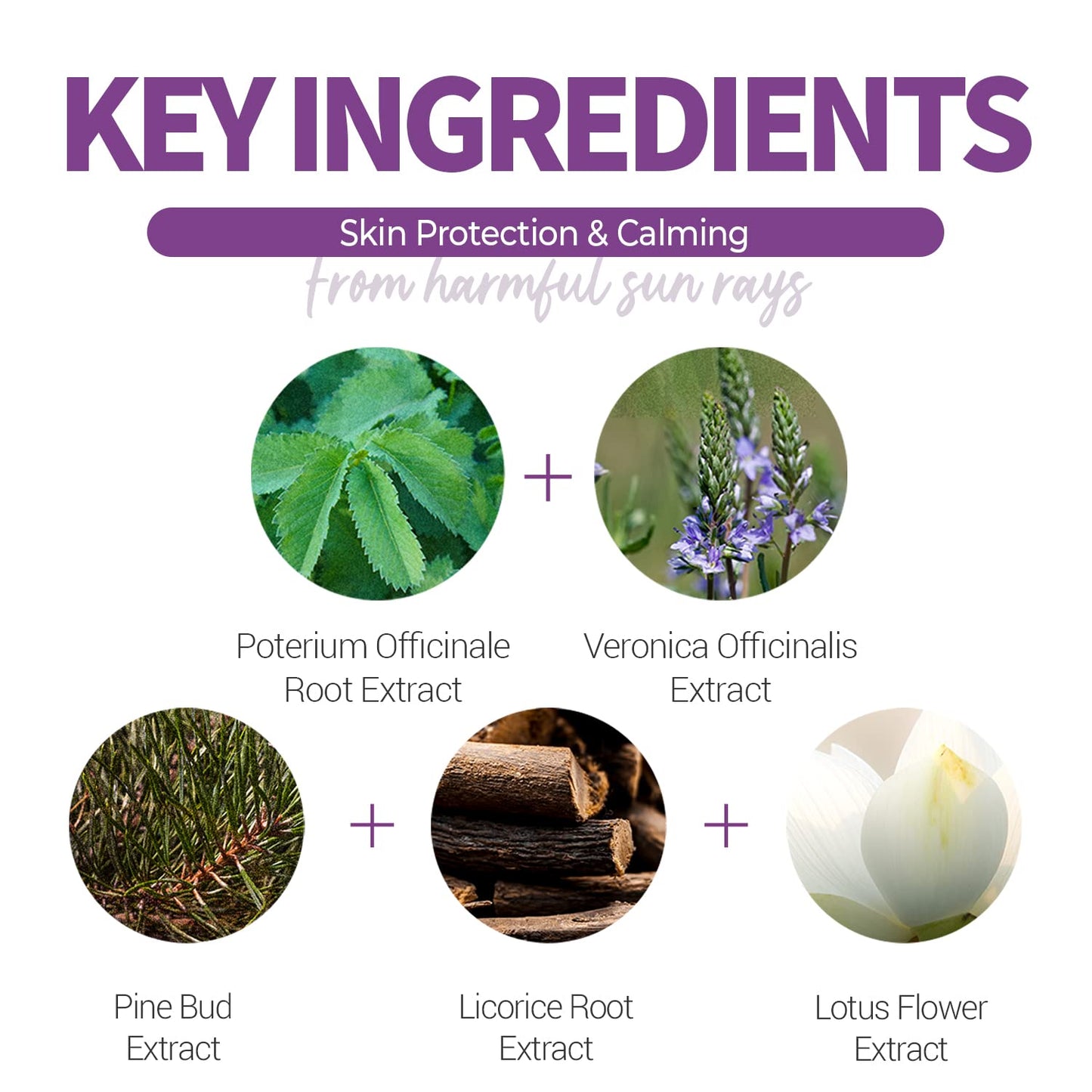 ACWELL - Solar Defense Licorice Sun Cream SPF 50+